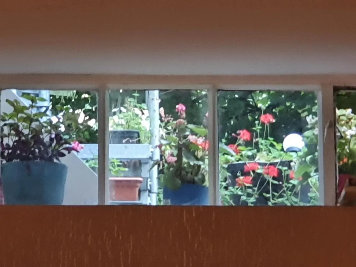 Hotel Cara Vita Köln 3*,  Almanya